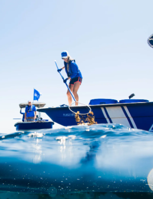 People on a boat collecting trash from the ocean, with a clear blue sky and water visible, highlighting environmental conservation efforts.
